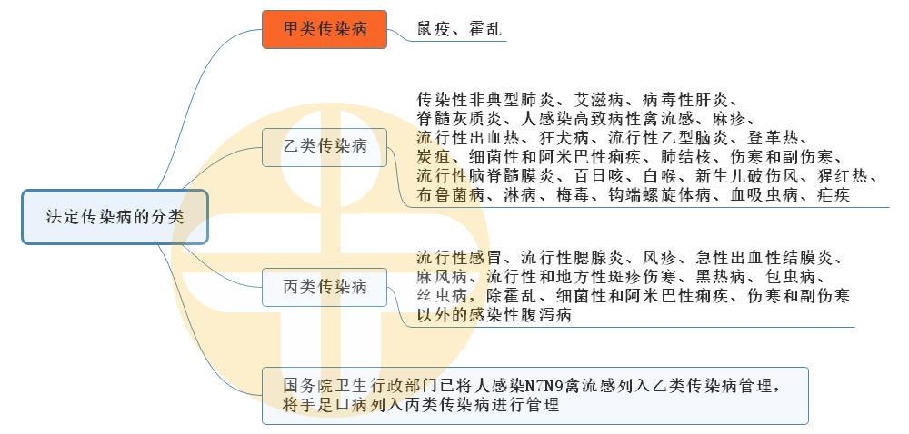 最新法定传染病分类及其社会影响概述