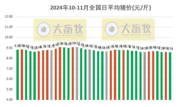 广东最新猪价分析与未来展望